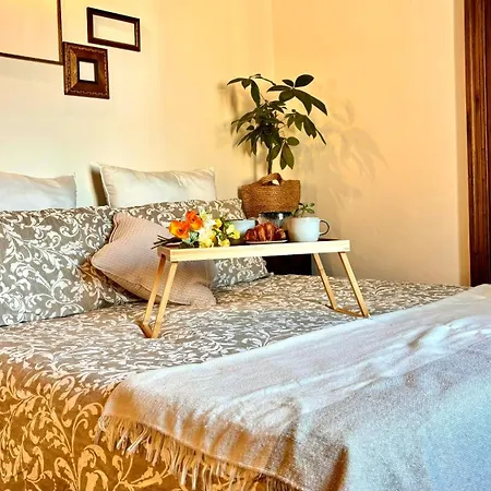 {centro}juvarra's تورينو